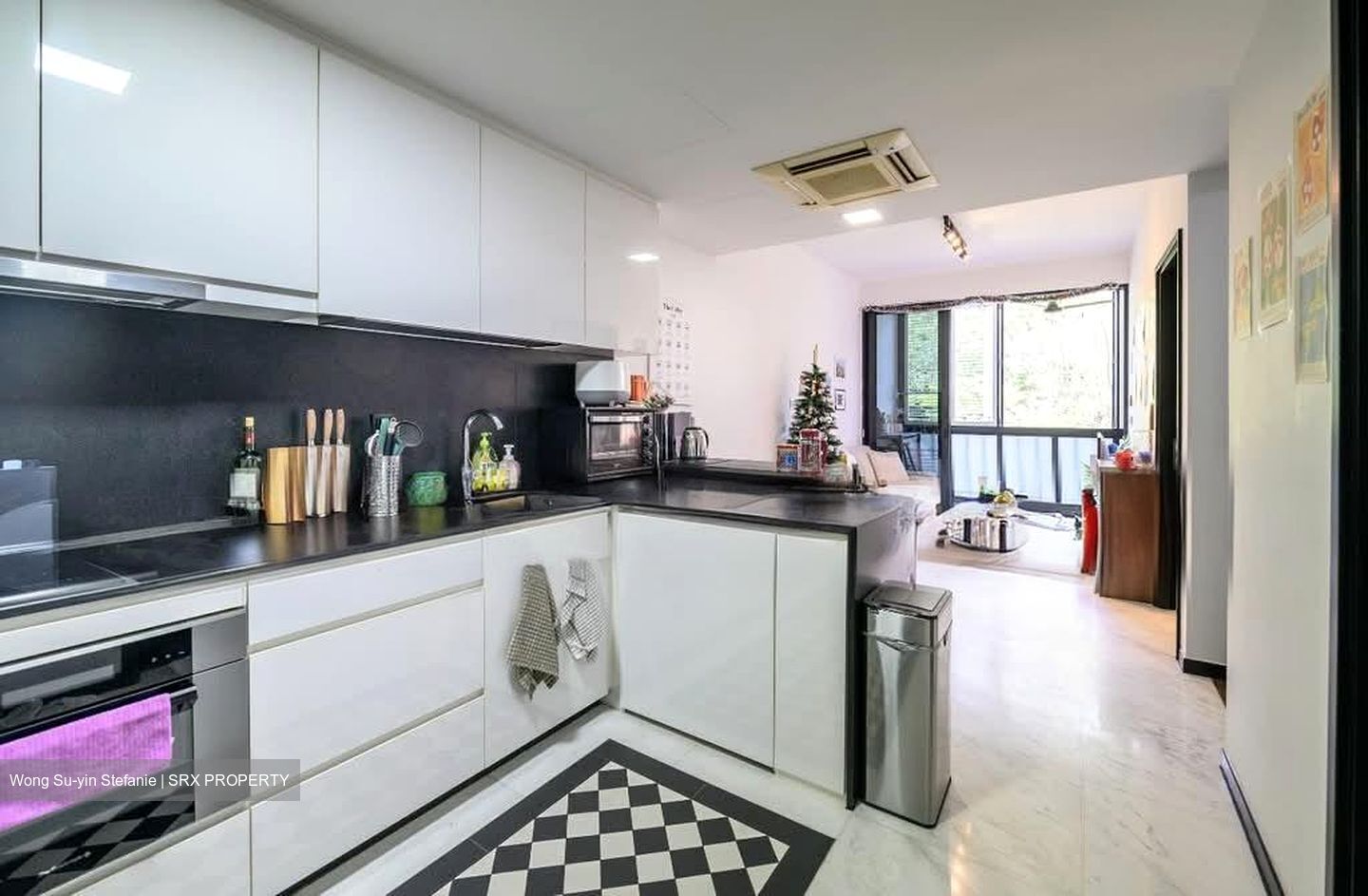 1919 (D9), Apartment #531945941
